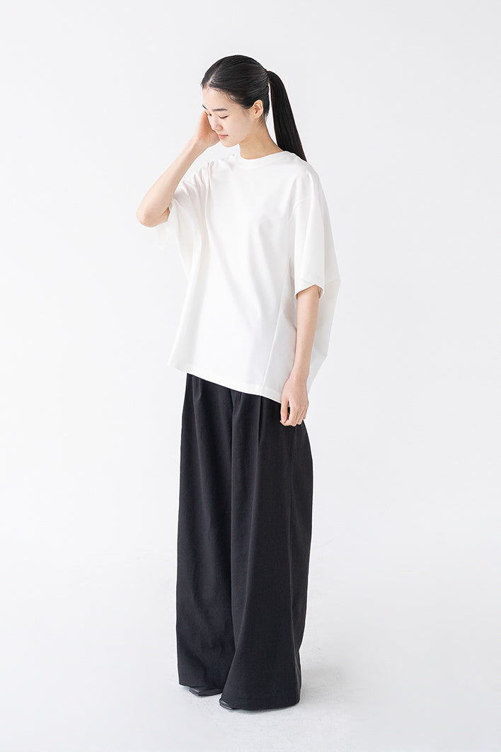 plain tuck pants