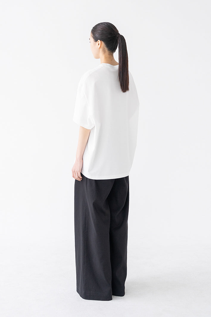 plain tuck pants