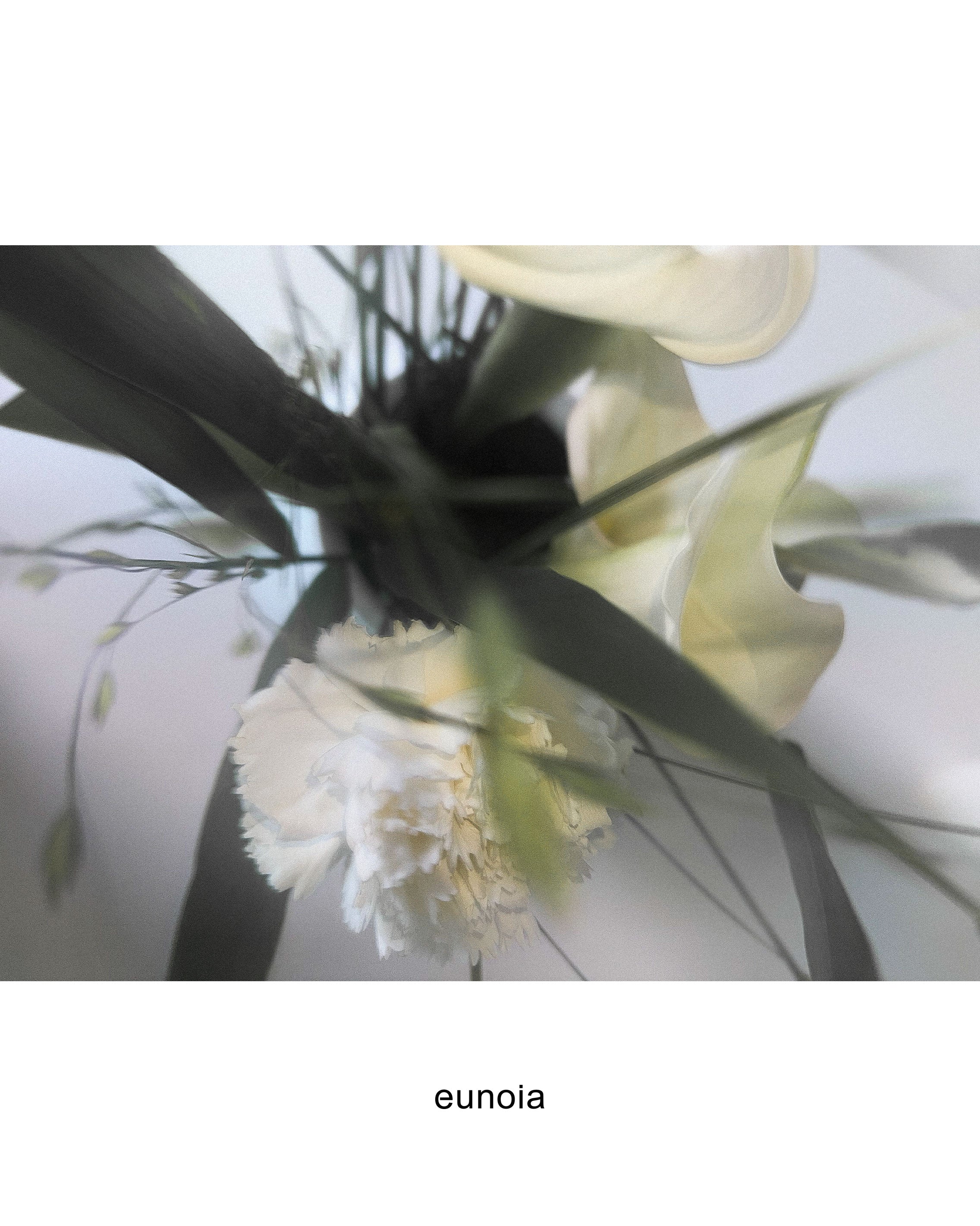 eunoia | Official Website