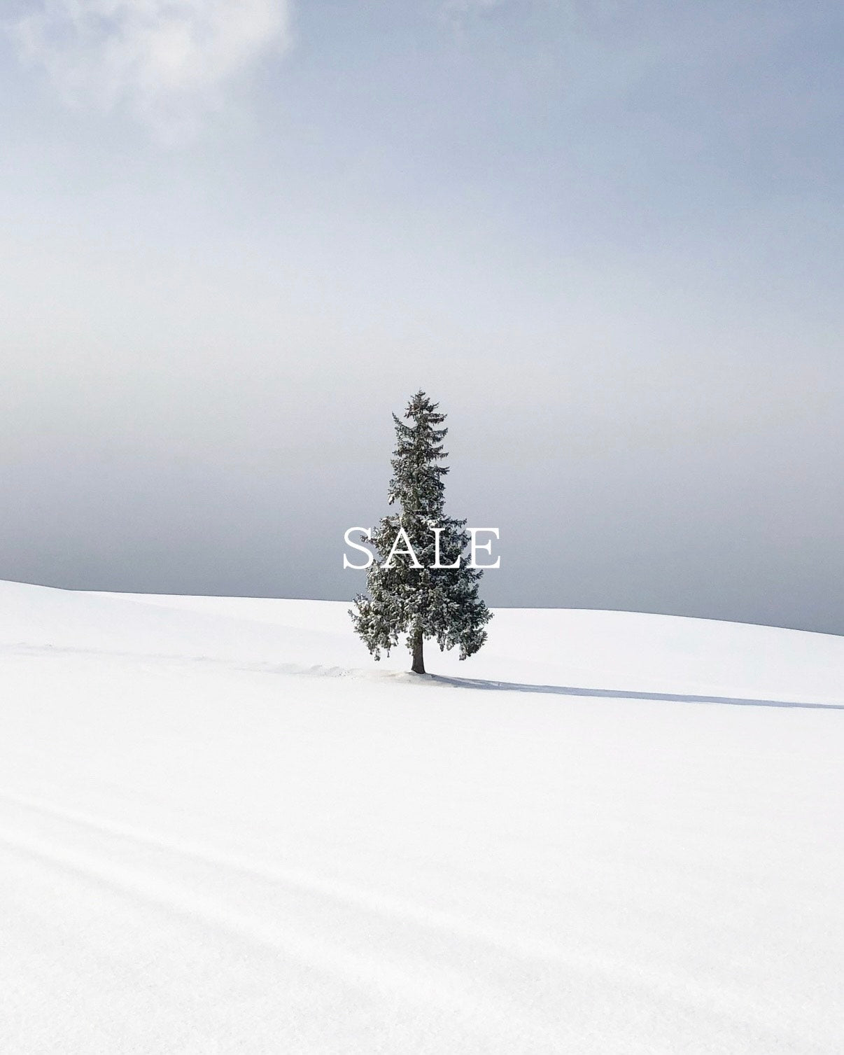 eunoia | Official Website